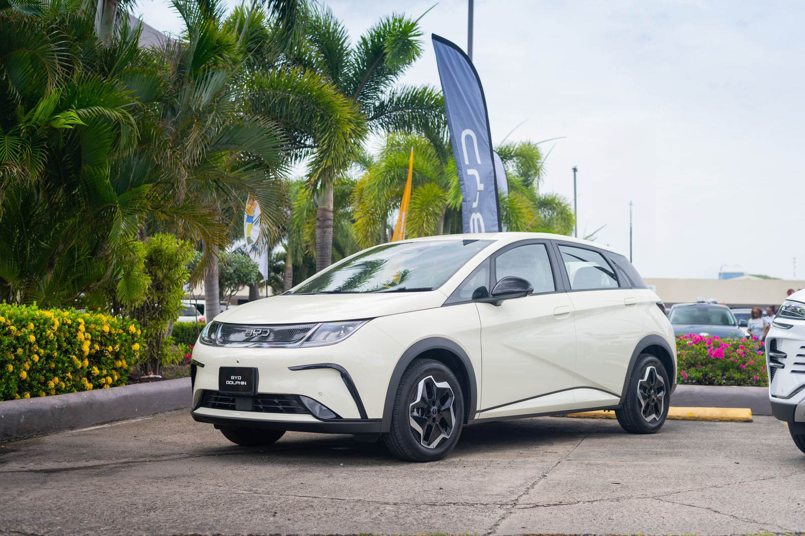 BYD Dolphin — Every journey, electric