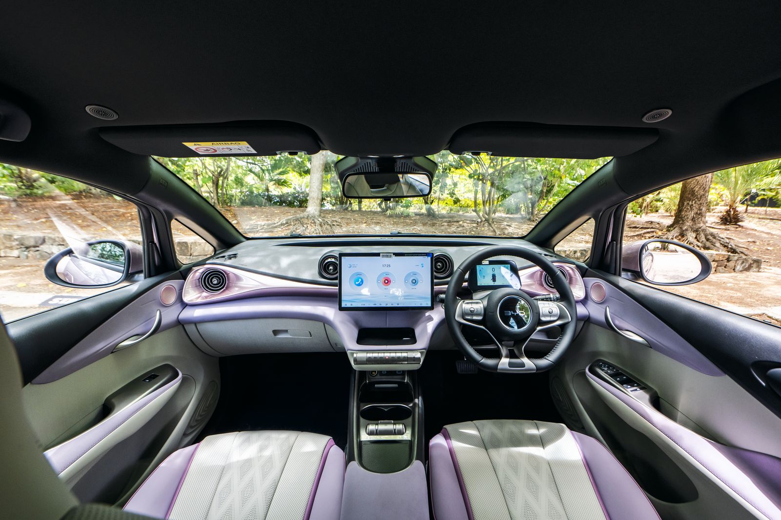 BYD Dolphin interior
